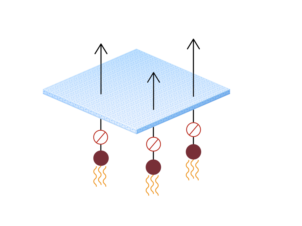 Odor capture process